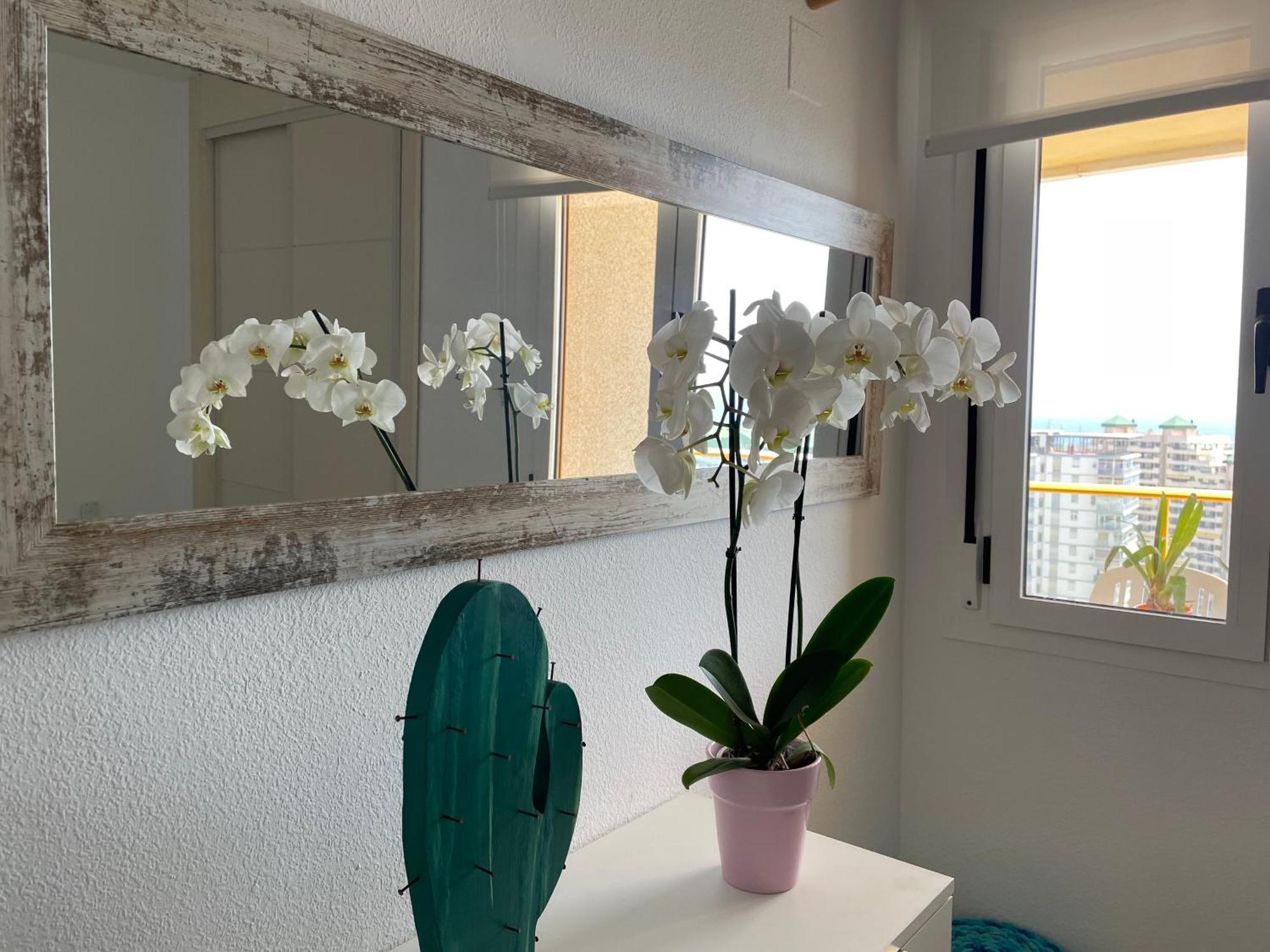 Apto One Day In Ambar Apartamento Calpe